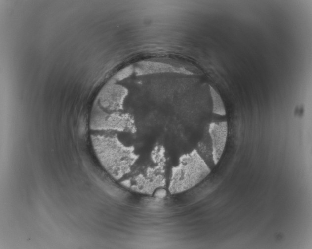 X0000111910131200908241036
