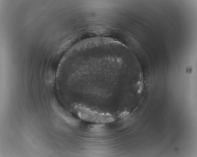 X0000111910132200908241036