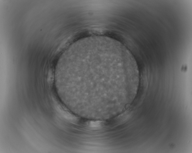 X0000111910134200908241036