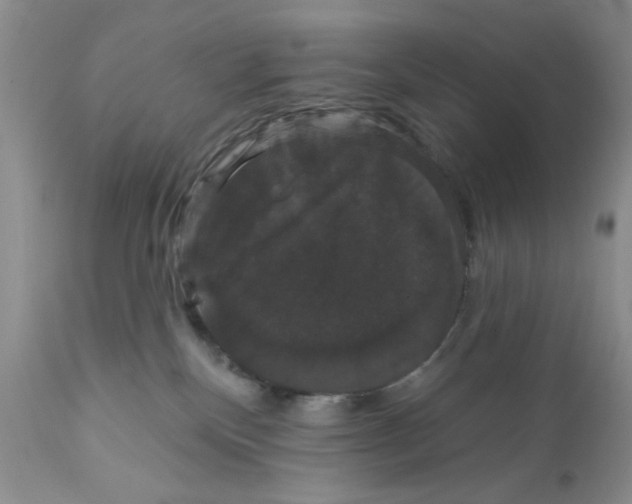 X0000111910136200908241036