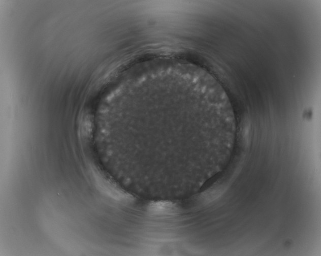 X0000111910137200908241036