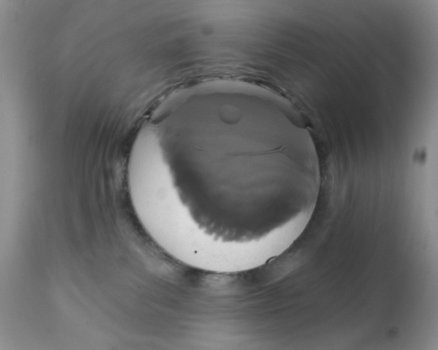X0000111910139200908241035