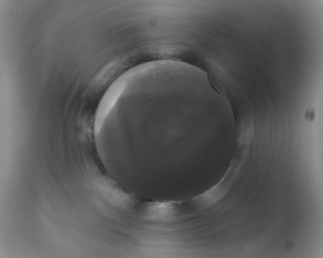 X0000111910140200908241035