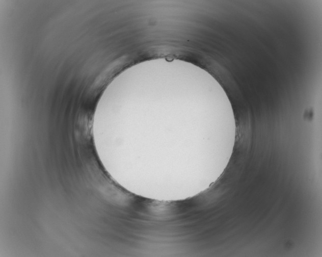 X0000111910142200908241035