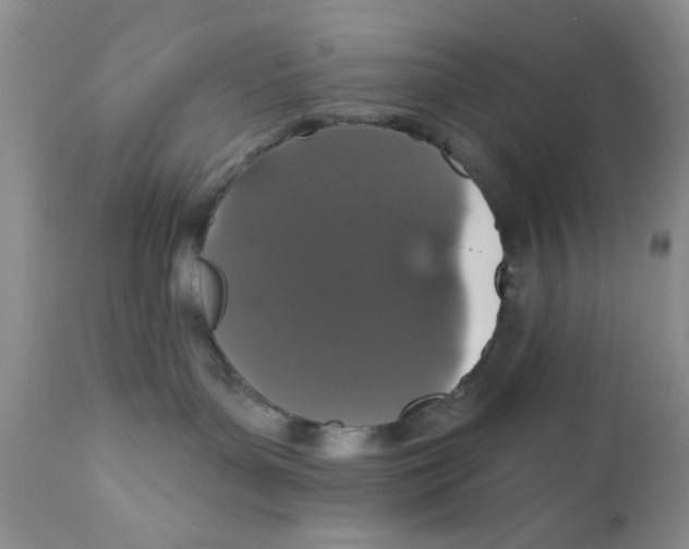 X0000111910143200908241035
