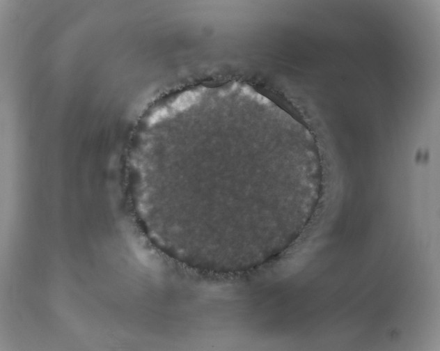 X0000111910144200908241035