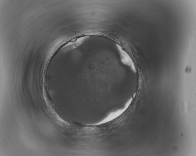X0000111910145200908241035