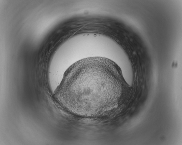 X0000111910146200908241035