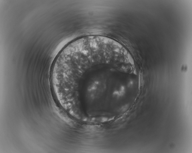 X0000111910147200908241035