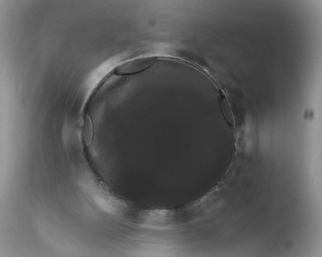 X0000111910152200908241035