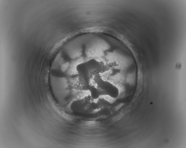 X0000111910153200908241035