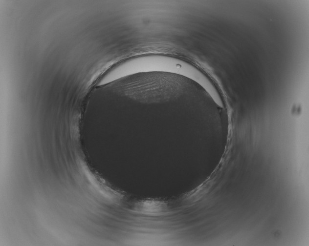 X0000111910154200908241035