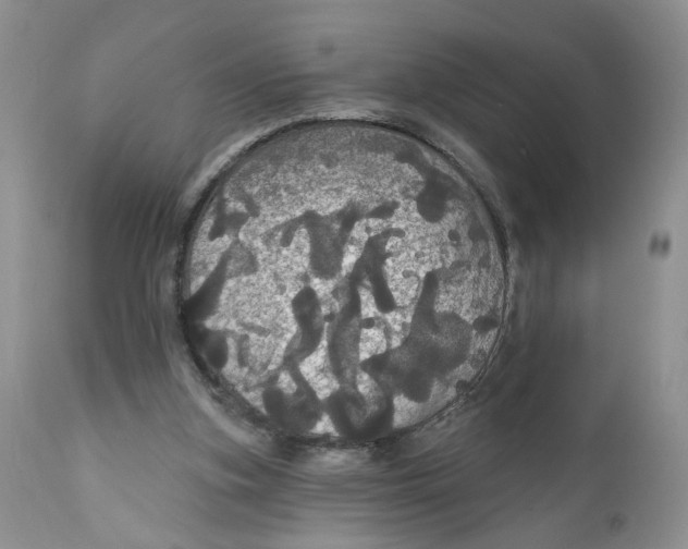 X0000111910155200908241035