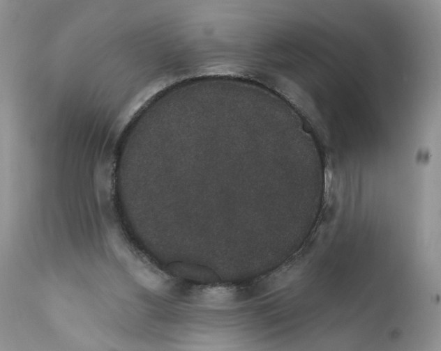 X0000111910156200908241035