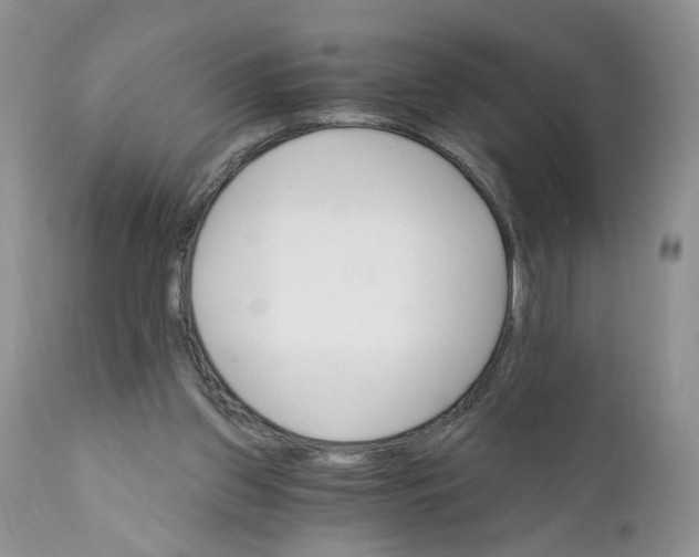 X0000111910157200908241035