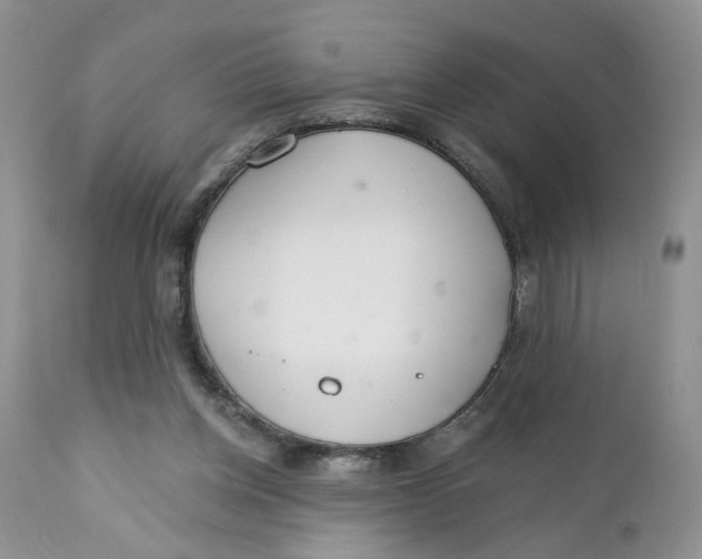 X0000111910158200908241035