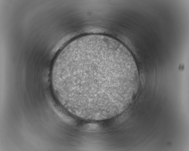 X0000111910159200908241035