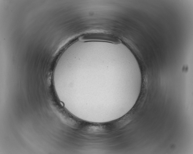 X0000111910160200908241035