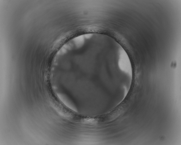 X0000111910161200908241035