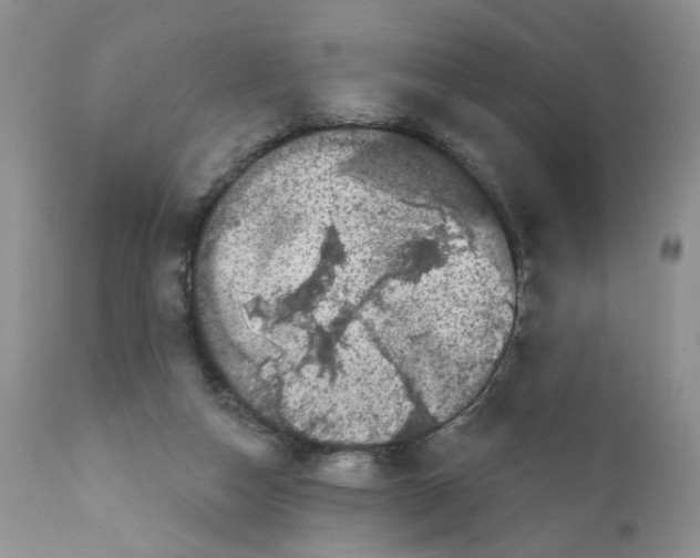 X0000111910162200908241035