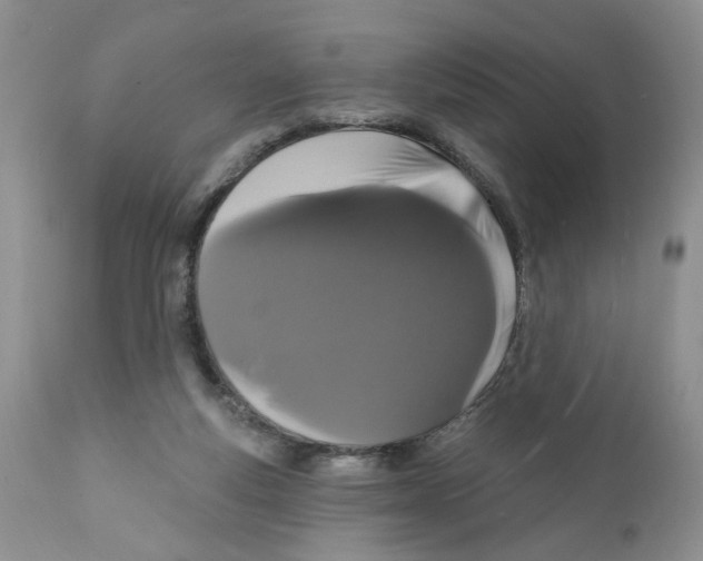 X0000111910163200908241035