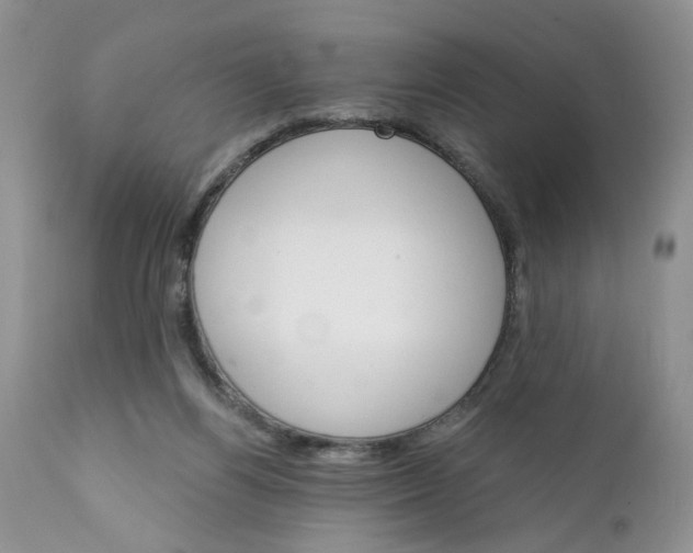 X0000111910164200908241035