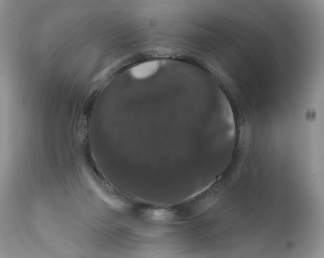 X0000111910165200908241035