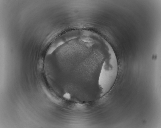 X0000111910166200908241035