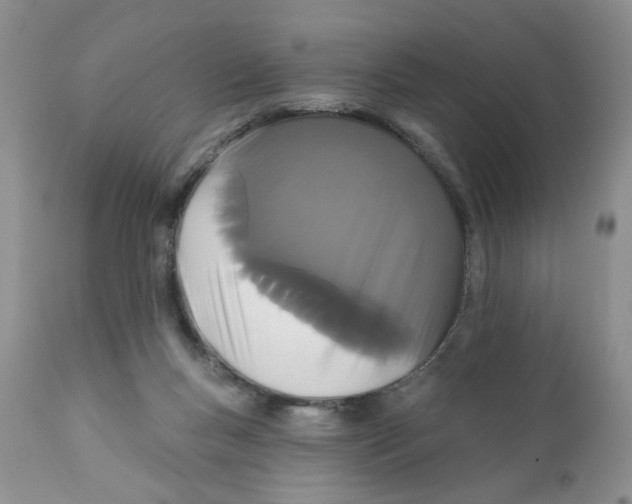X0000111910167200908241035