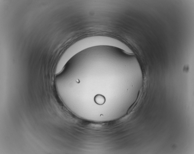 X0000111910170200908241035
