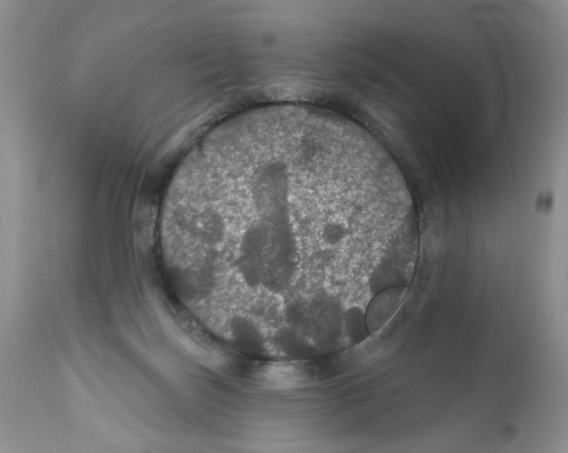 X0000111910171200908241035