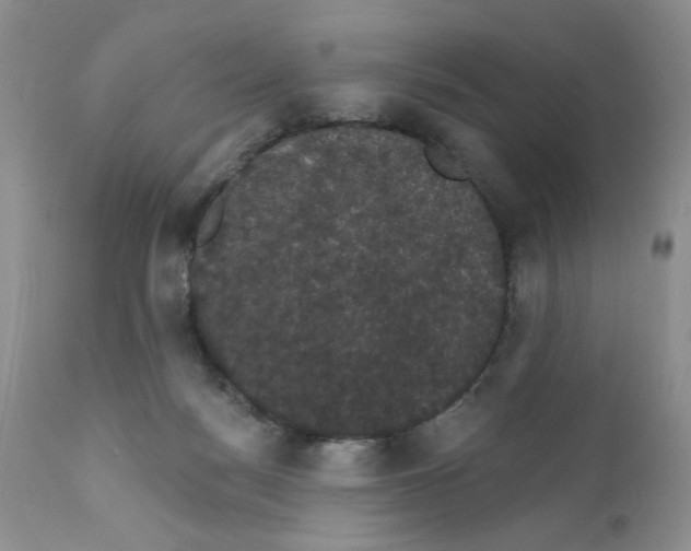 X0000111910172200908241035