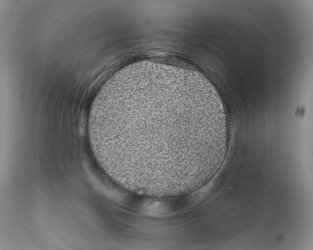 X0000111910174200908241035