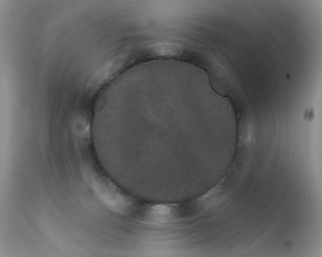 X0000111910176200908241035