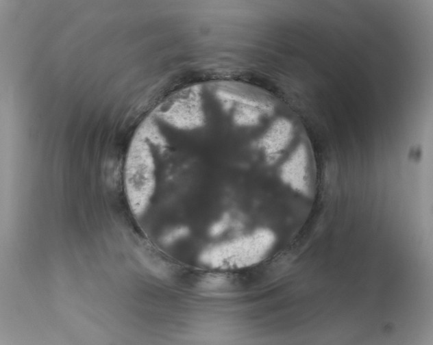 X0000111910177200908241035