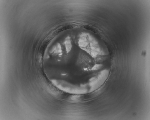 X0000111910178200908241035