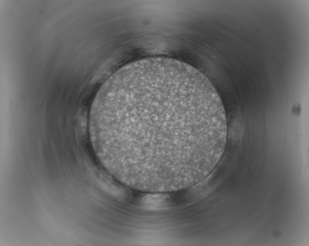 X0000111910179200908241035