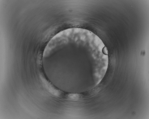 X0000111910181200908241035