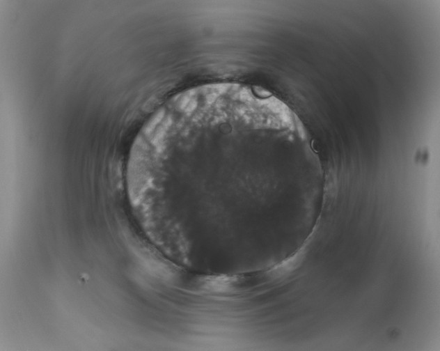 X0000111910182200908241035