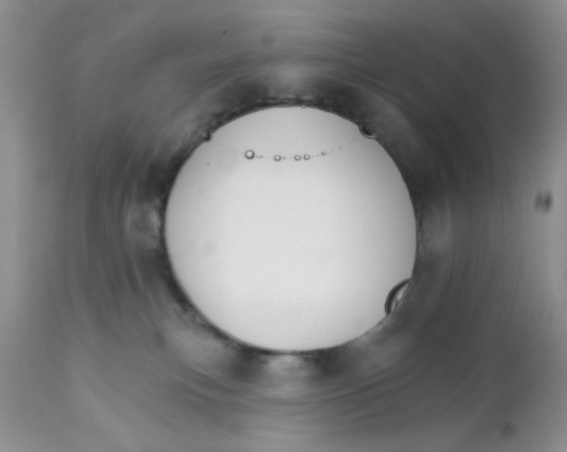 X0000111910183200908241035