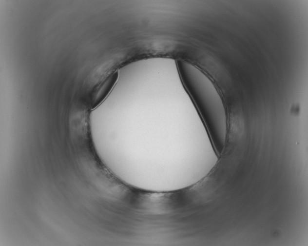 X0000111910184200908241035