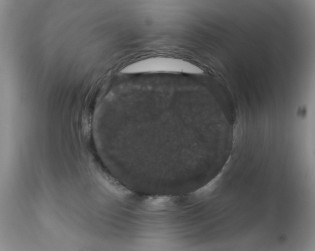 X0000111910186200908241035