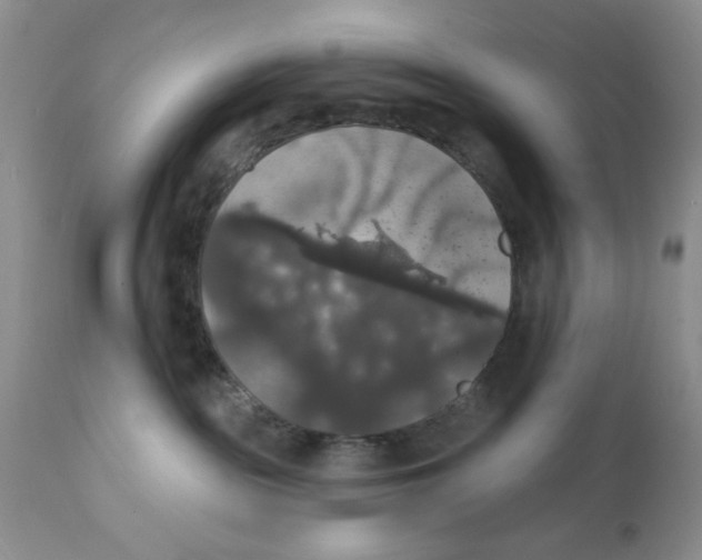 X0000111910189200908241035
