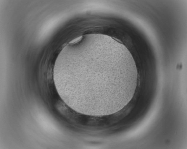 X0000111910190200908241035