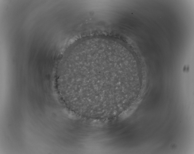 X0000111910192200908241035