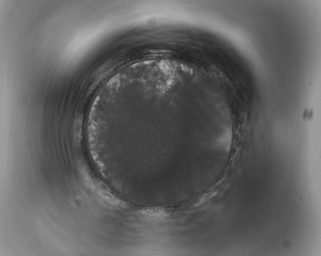 X0000111910194200908241035