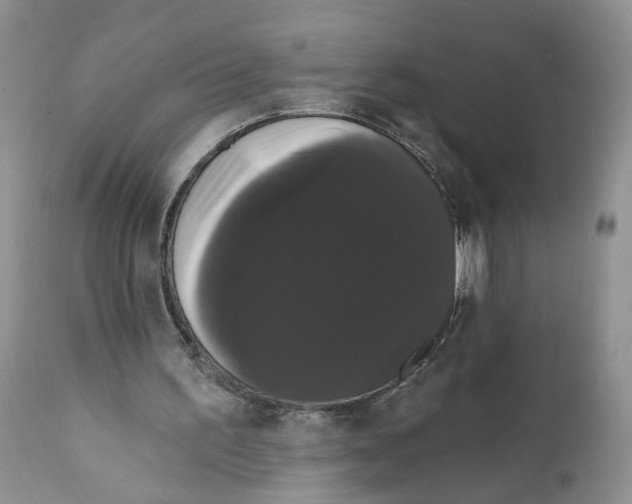 X0000111910195200908241035