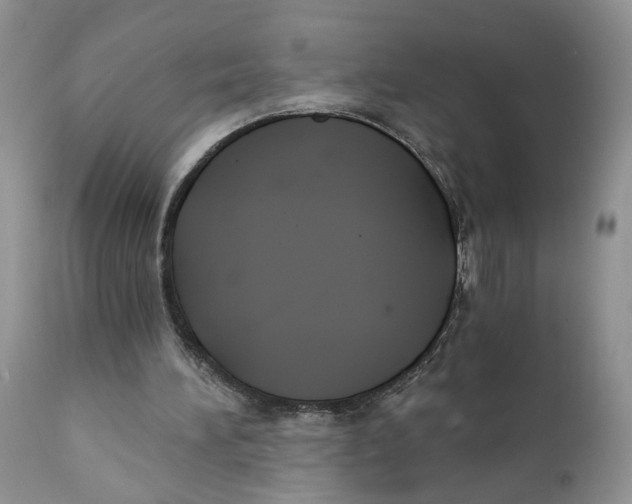 X0000111910196200908241035