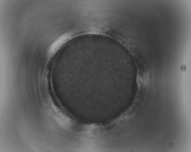 X0000111910197200908241035