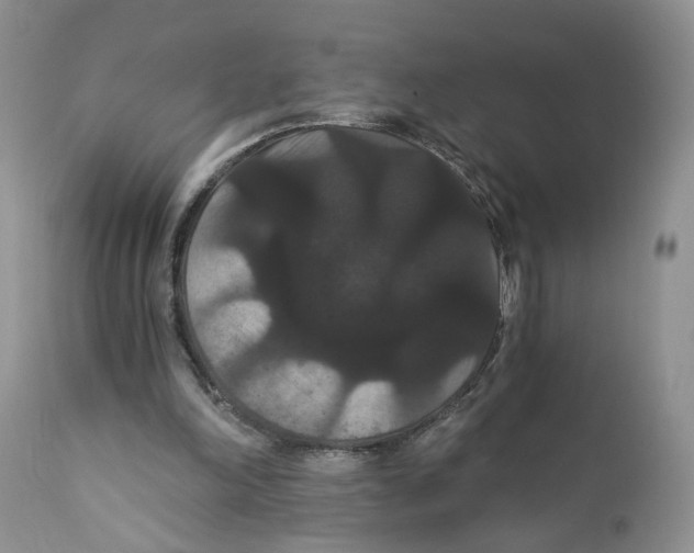 X0000111910198200908241035